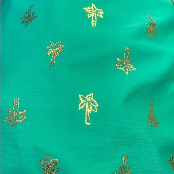 Aerie Green & Gold Palm Tree Swim Hipster Bottoms - Picture 3 of 7